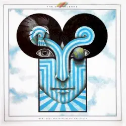 What Does Anything Mean? Basically by The Chameleons