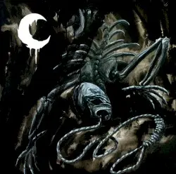 A Silhouette in Splinters by Leviathan