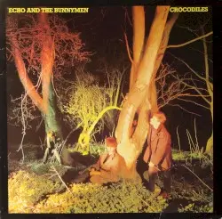Crocodiles by Echo and the Bunnymen