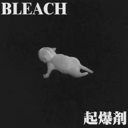 起爆剤 by Bleach