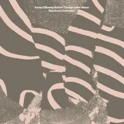 Electronic Extension by Aaron Dilloway / Robert Turman / John Wiese
