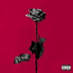 deadroses by blackbear