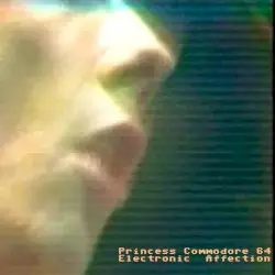 Electronic Affection by Princess Commodore 64