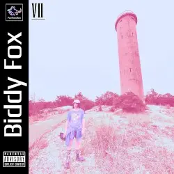 BIDDY FOX VII by Biddy Fox