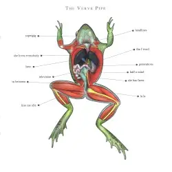 The Verve Pipe by The Verve Pipe