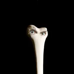 Halo by Juana Molina