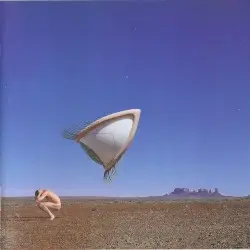 Bury the Hatchet by The Cranberries