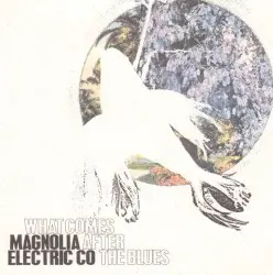 What Comes After the Blues by Magnolia Electric Co.