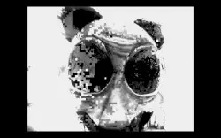 Fr̢e̡̧͏ɘ ̡͝D͢o̰̿̿̿̿̿̿̿̿̿̿̿̿̿̿̿̿̿̿̿wn҉̕ɭoᴧds҉̍̍̍̍̍̍̍̍̍̍̍̍̏̍██░░░░░░̮̮̮̮̮̮̯̯̭̮̮̮̮̮░░░̿̿̿̿̿̿░░░░░░ by DaFake Panda