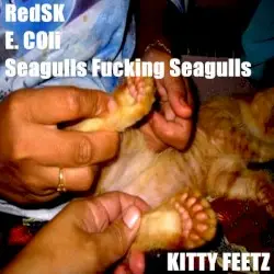 Kitty Feetz by Seagulls Fucking Seagulls / RedSK / E-Coli