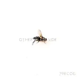 Other Side by PreCog