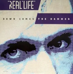 Down Comes the Hammer by Real Life