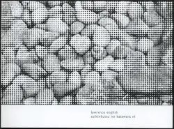 Suikinkutsu No Katawara Ni by Lawrence English