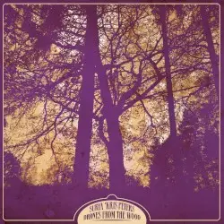 Drones From the Wood by Surya Kris Peters