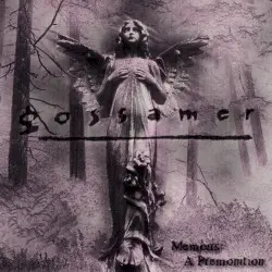 Memoirs: A Premonition by Gossamer