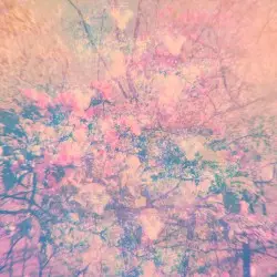 Motions by Project AER