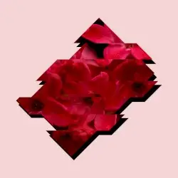 Florescence by Dan Mason