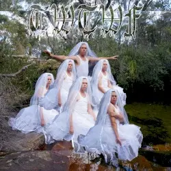 Titles With the Word Fountain by Liars