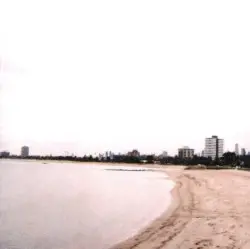 Joey Always Smiled by Mark Kozelek & Petra Haden