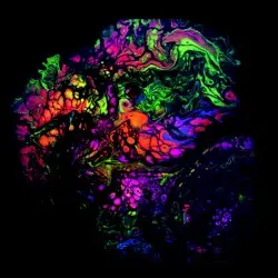 Lee Ranaldo / Rob Menard Split Release by Lee Ranaldo & Rob Menard