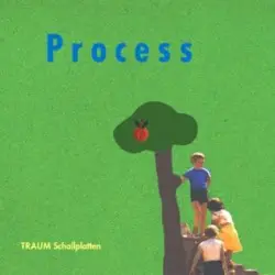Pattern Recognition by Process