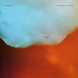 A House With Too Much Fire by Seabuckthorn