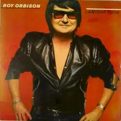 Laminar Flow by Roy Orbison