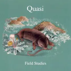 Field Studies by Quasi