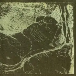 The Whys and Hows of Herman Düne and Cerberus Shoal by Herman Düne & Cerberus Shoal