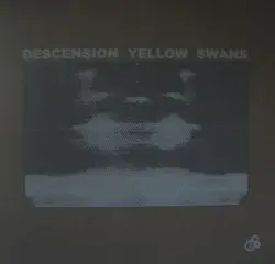 Descension Yellow Swans by Descension Yellow Swans
