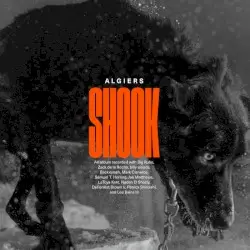 Shook by Algiers