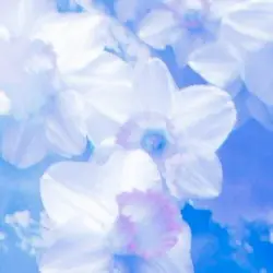 Forgiveness of the Former by days of blue