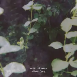 Happy 29 Honey by Ellah A. Thaun