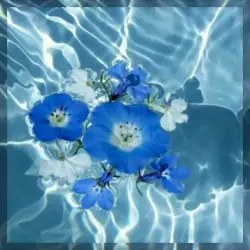 Turquoise by Yokohama / 夢想家 bliss