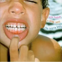 O corpo sutil (The Subtle Body) by Arto Lindsay
