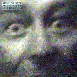 Ancient Noise in a Poor Presentation by Abortive Gasp