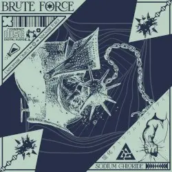 BRUTE FORCE by Sodium Chloride