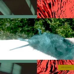 Oblivion Access by Lil Ugly Mane