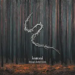 Through Shaded Woods by Lunatic Soul