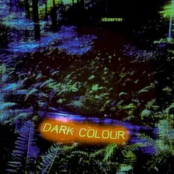Observer by Dark Colour
