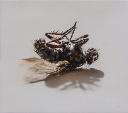 Hyperreal by Aki Rissanen, Verneri Pohjola & Ikiz