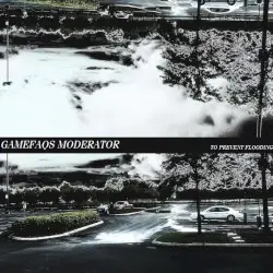 To Prevent Flooding by GameFAQs Moderator