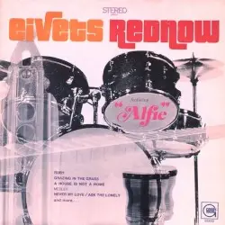 Eivets Rednow by Stevie Wonder