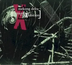 Pictures at an Exhibition by Mekong Delta