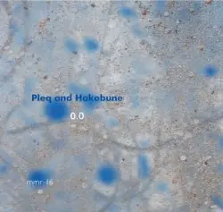 0.0 by Pleq and Hakobune