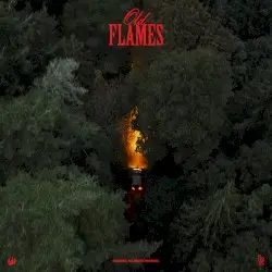 Old Flames by La Roux