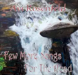 Few More Songs for the Road by Avi Rosenfeld