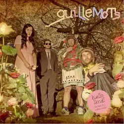 Hello Land! by Guillemots