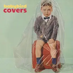 Covers by Babybird