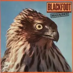 Marauder by Blackfoot